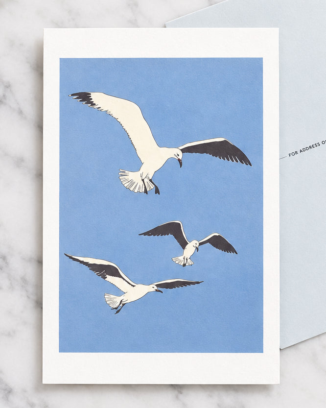 Seagulls Postcard