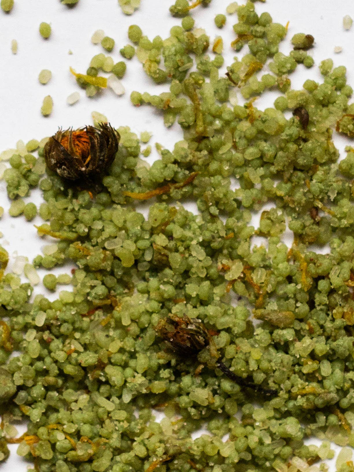 Calendula & Clay Bath Soak