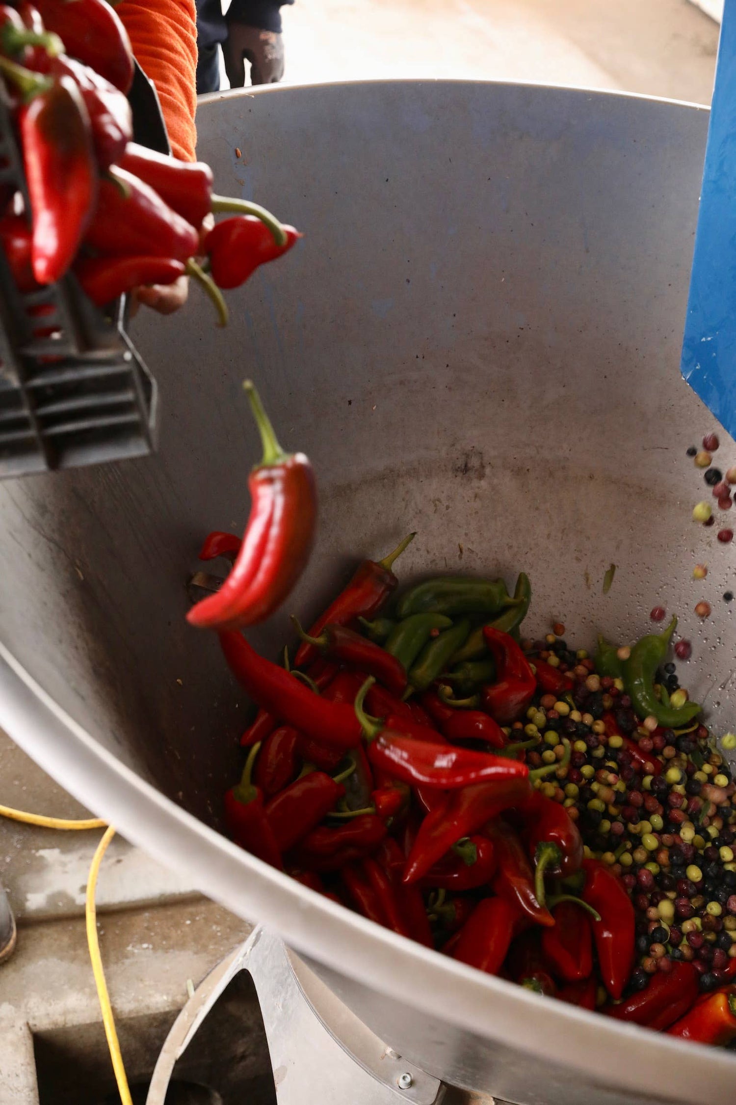 Cí Cí Chili Oil