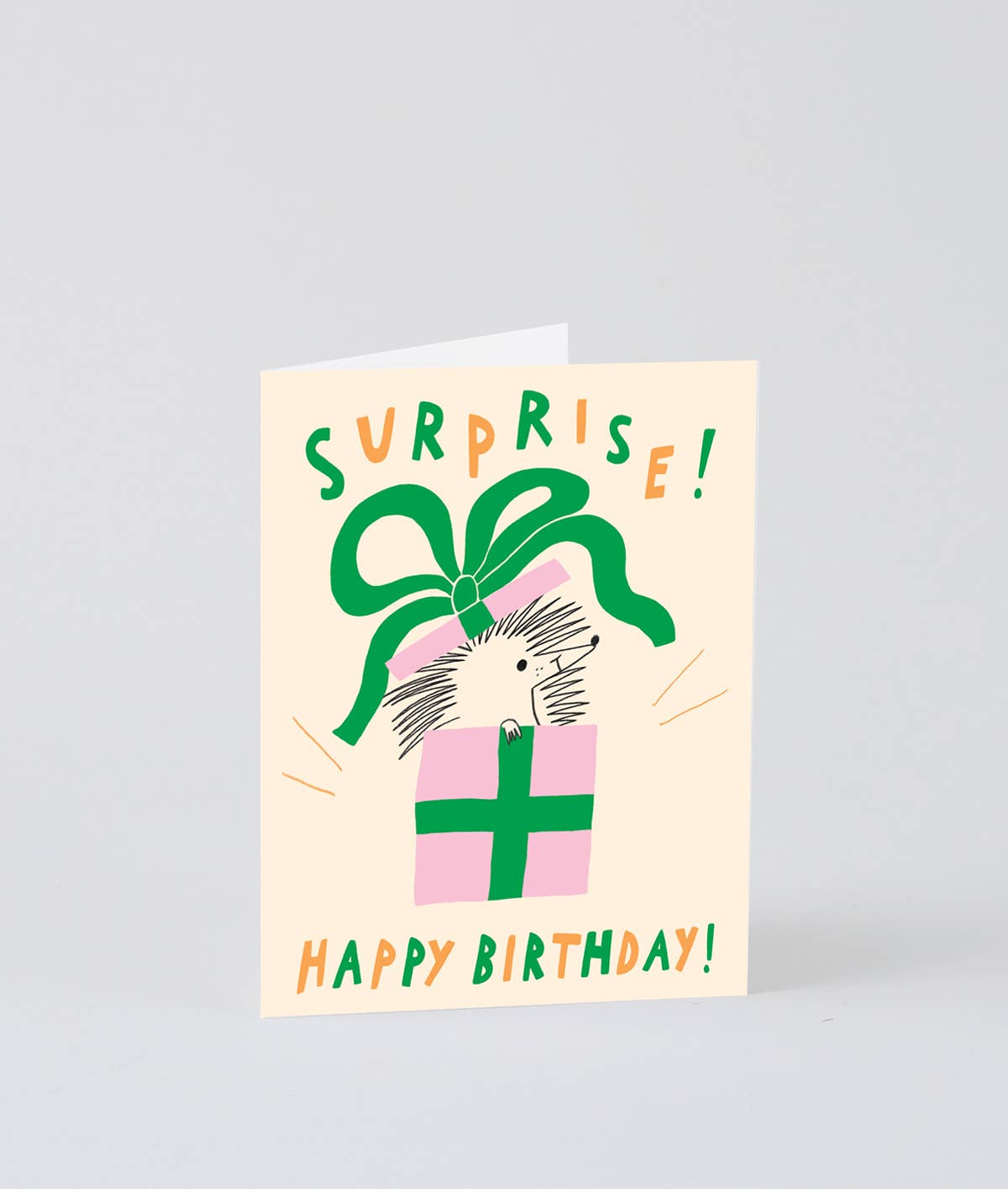 Surprise Happy Birthday Birthday Card