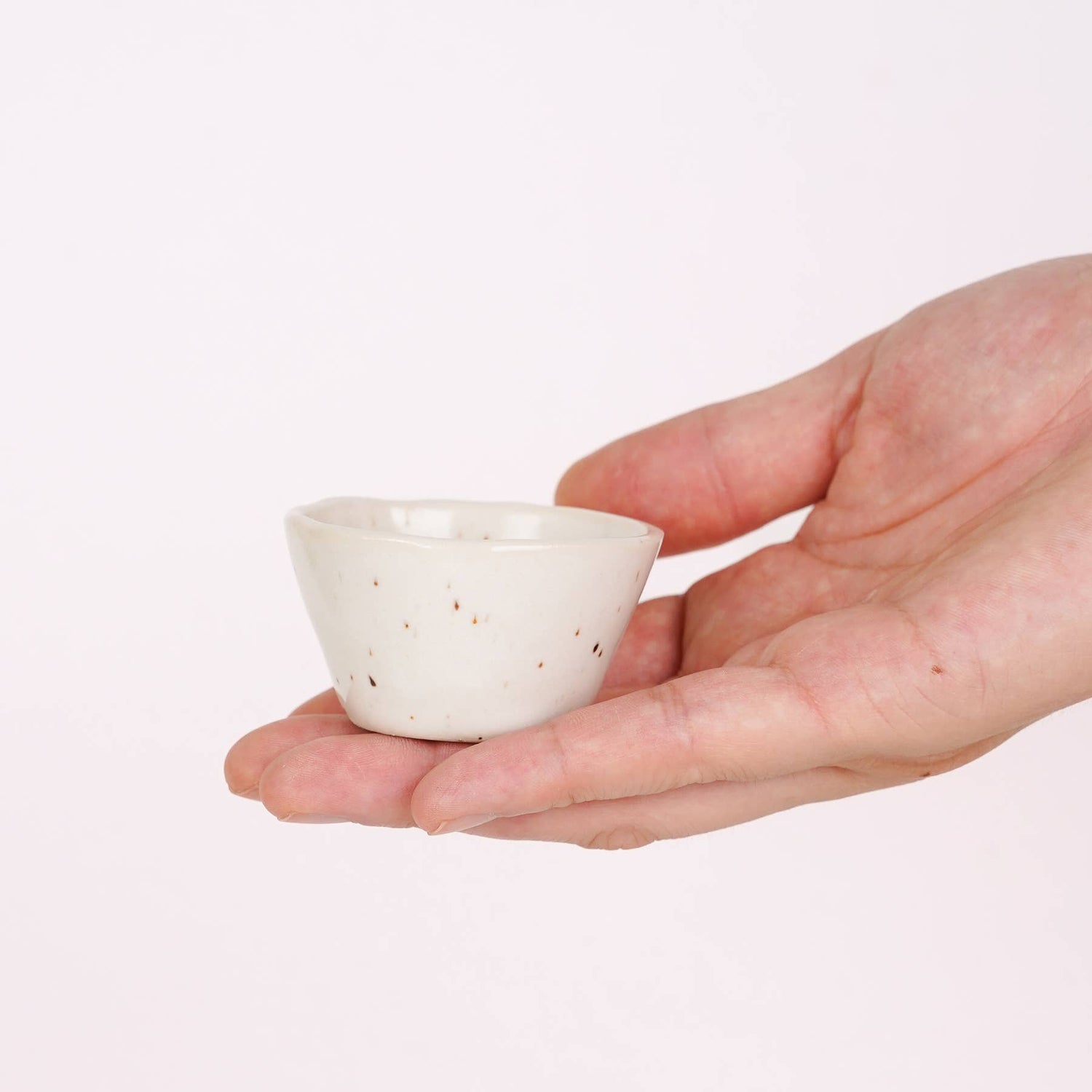 Small Speckled Dish