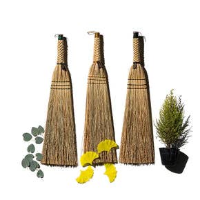 Hand Broom