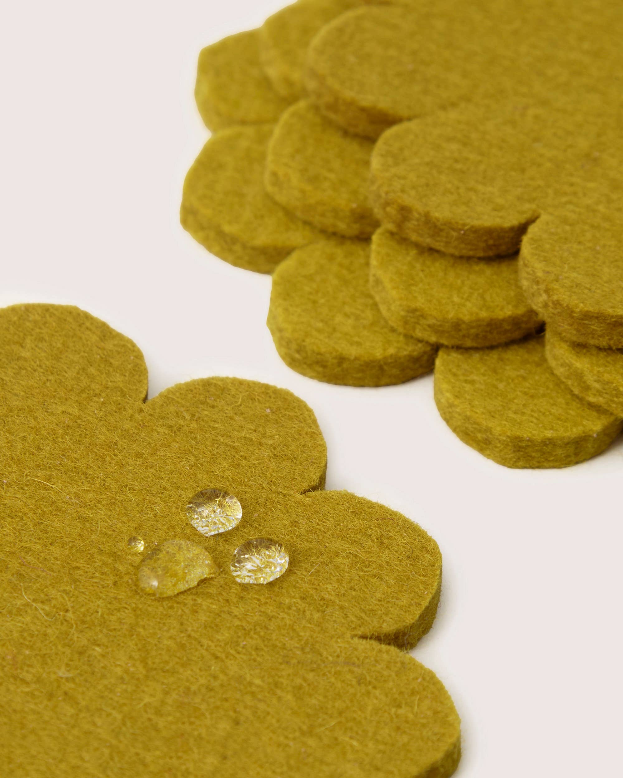 Crest Felt Coaster Set - Dandelion