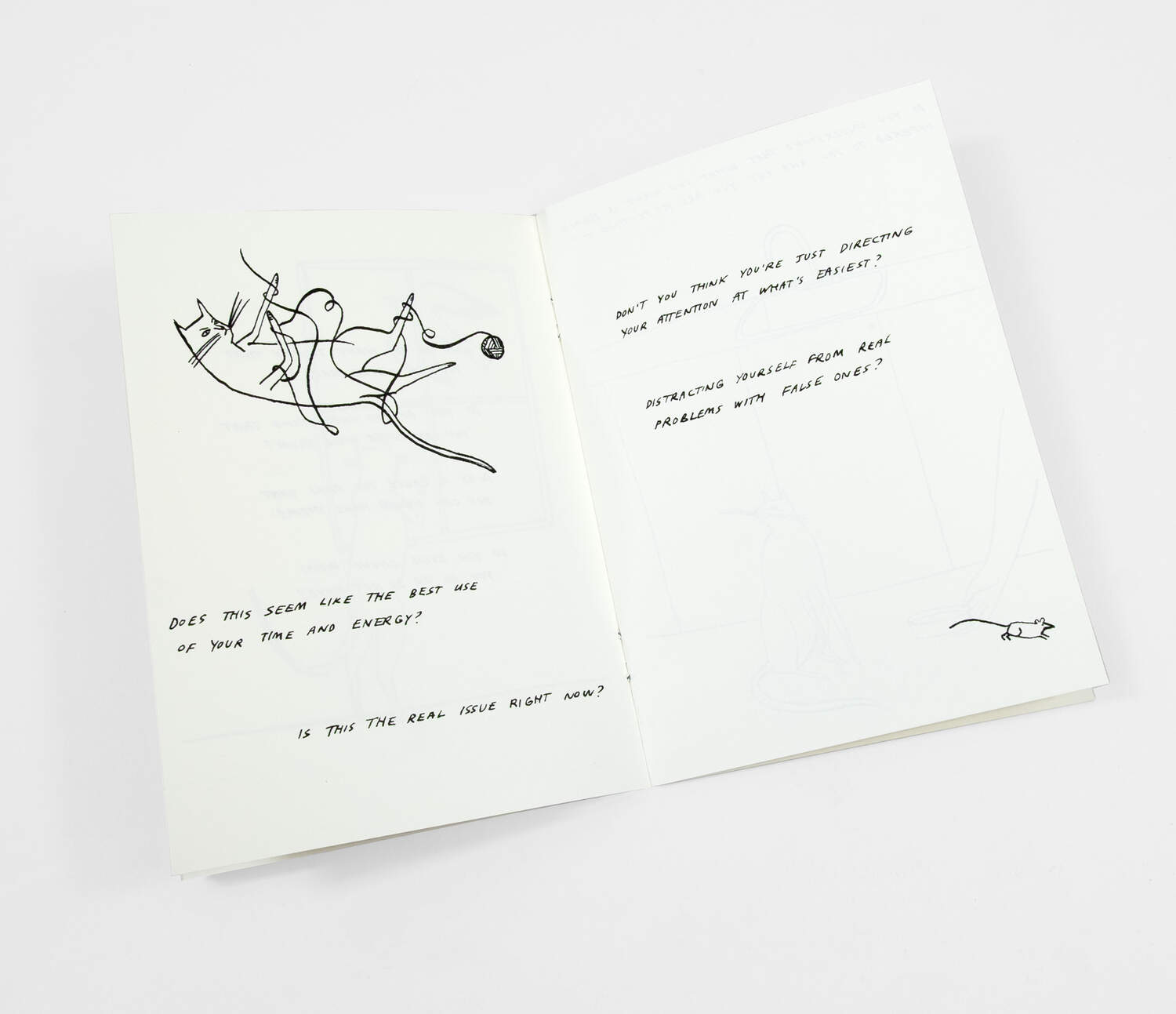 Routine Questions for the Cat