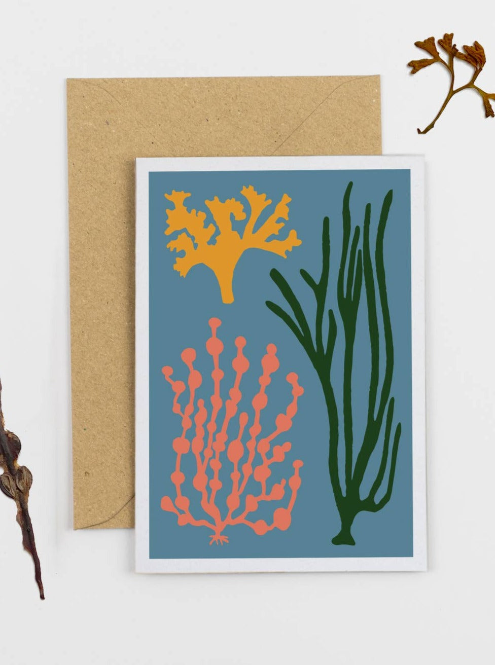 Blue Seaweeds Cards
