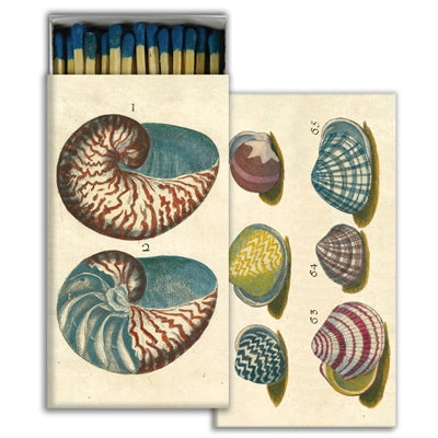 Matches - 18th C. Shells