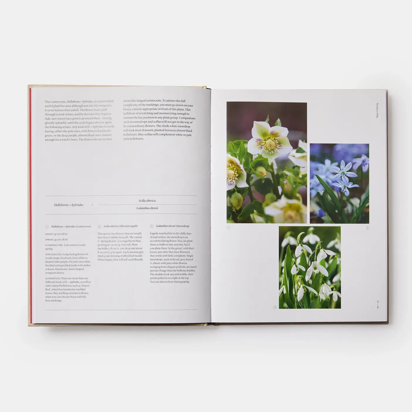 The Seasonal Gardener