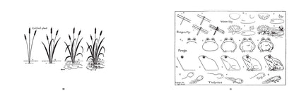 What to Draw and How to Draw It