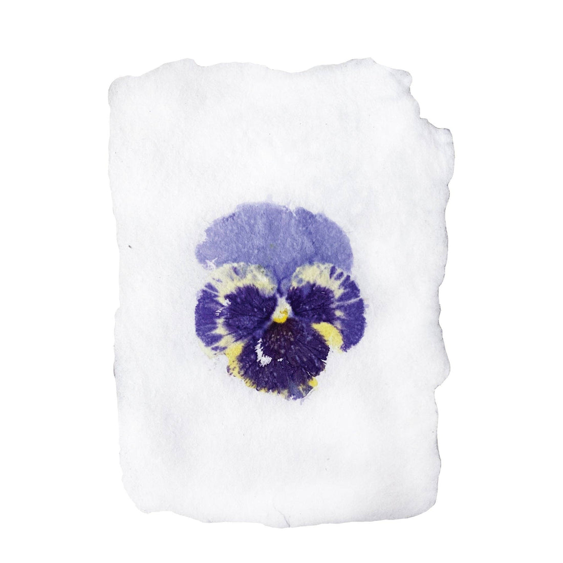 Pansy Imprint Notecard Set