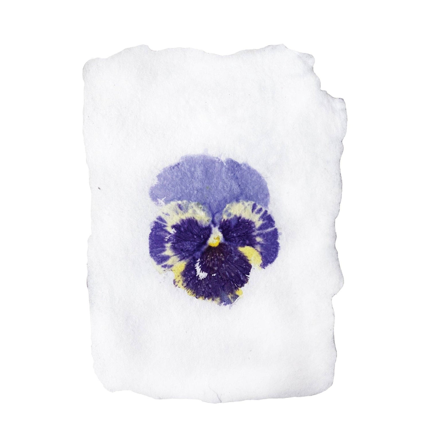 Pansy Imprint Notecard Set