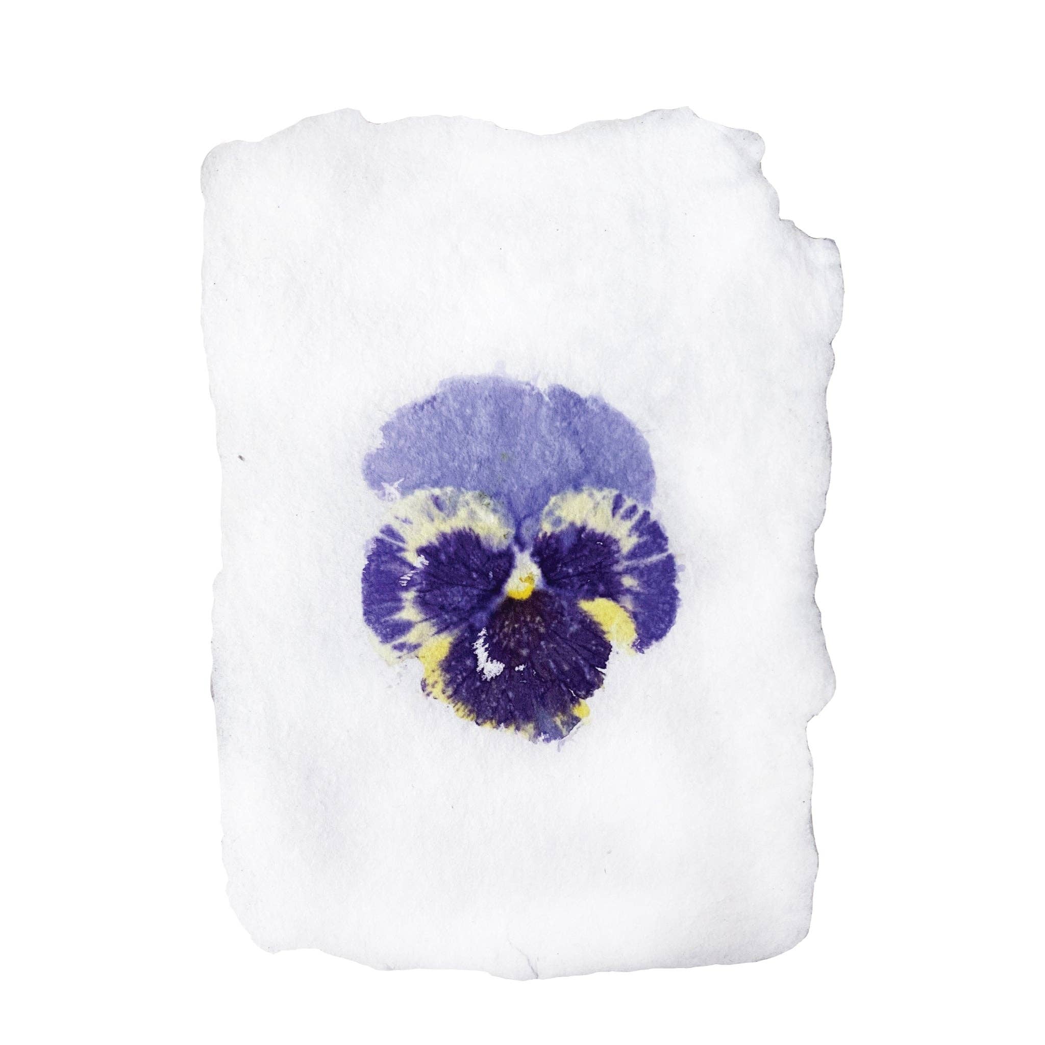 Pansy Imprint Notecard Set