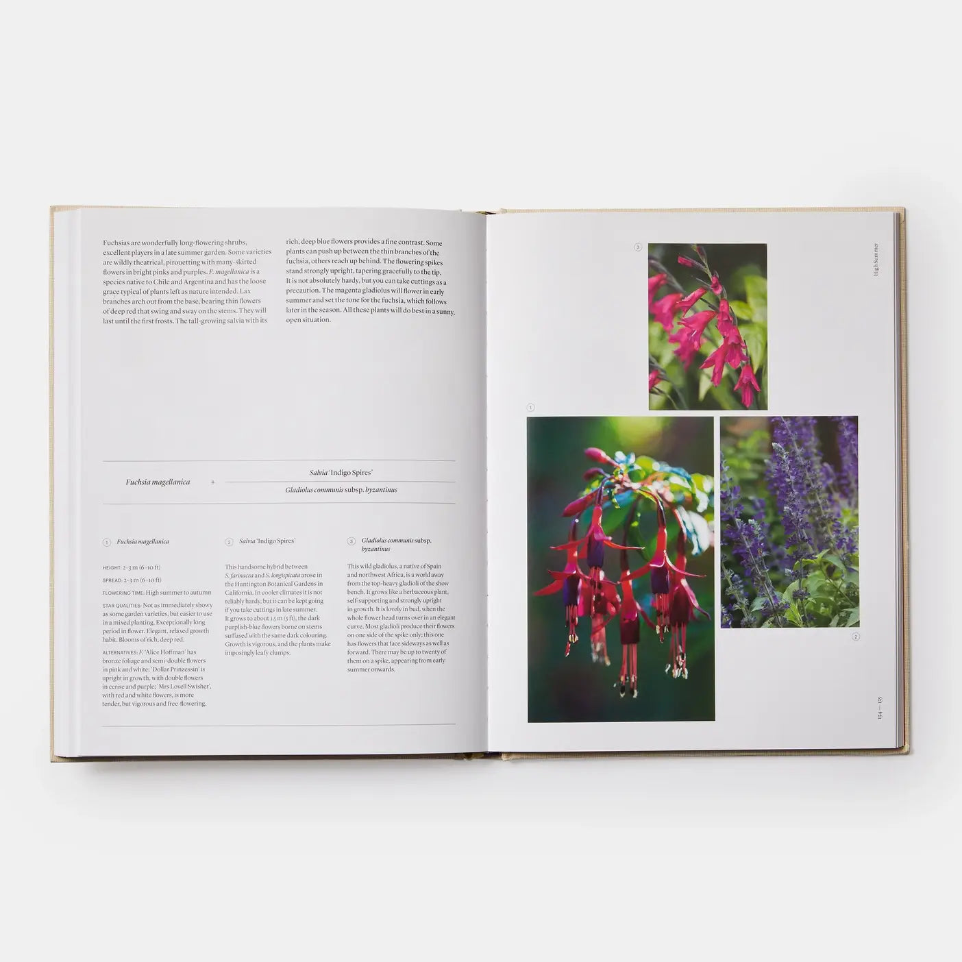 The Seasonal Gardener