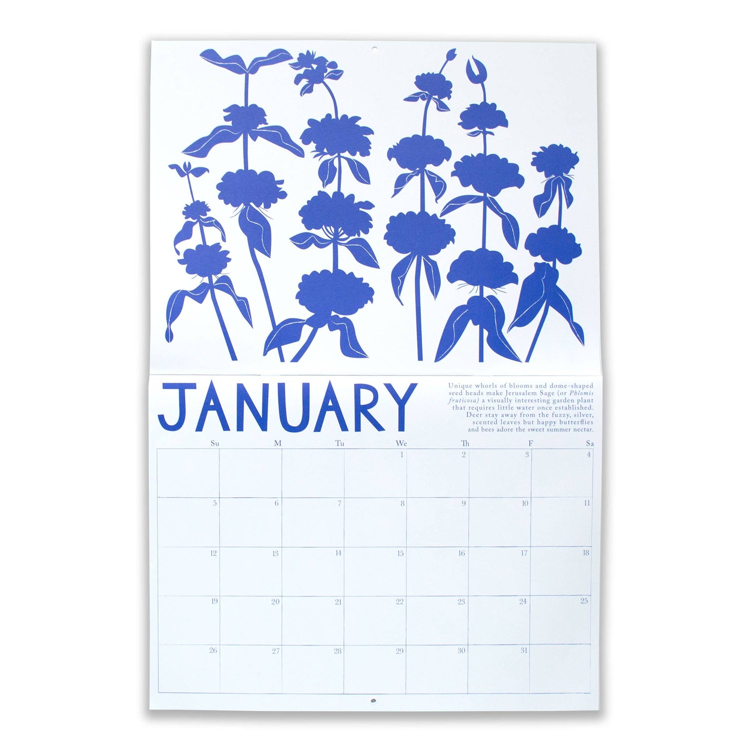 Drought Tolerant Plants 2025 Calendar