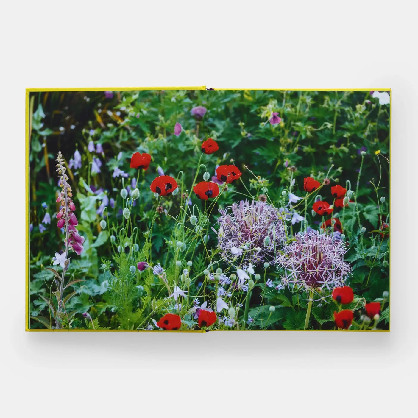 A Year In Bloom