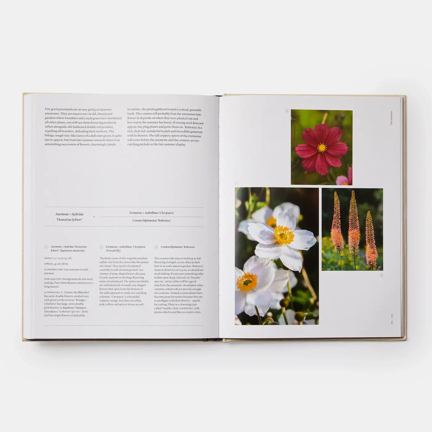 The Seasonal Gardener