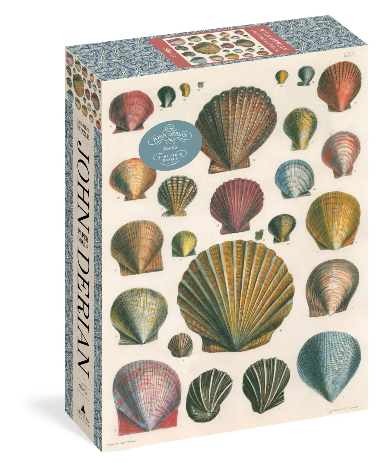 Shells Puzzle