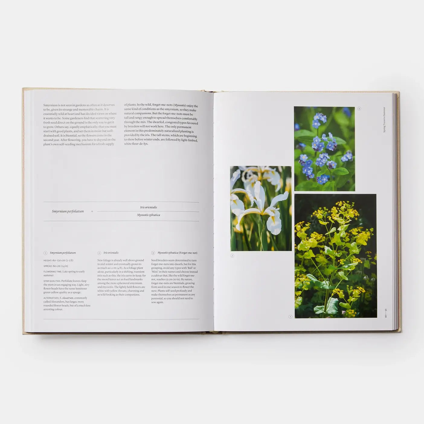 The Seasonal Gardener