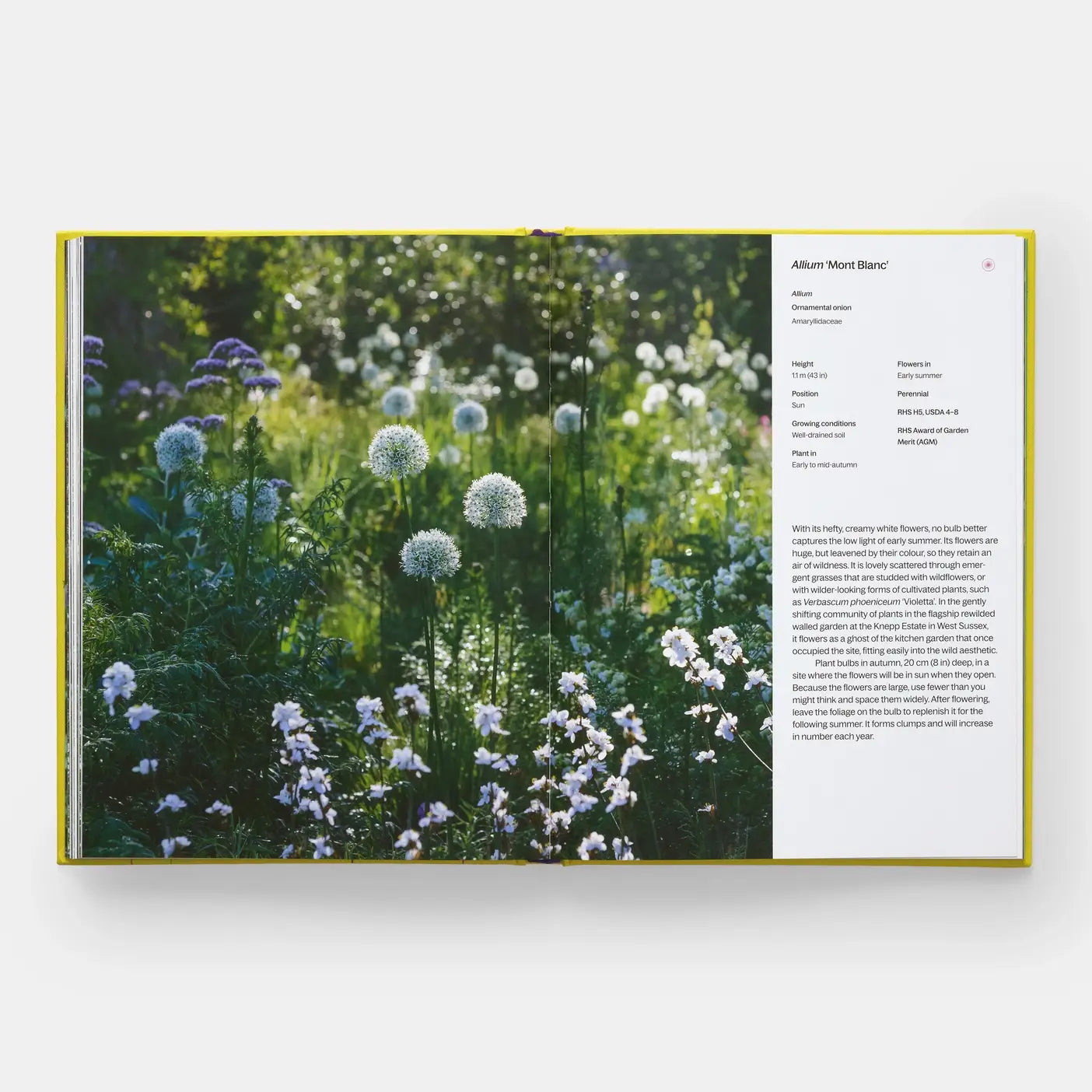 A Year In Bloom
