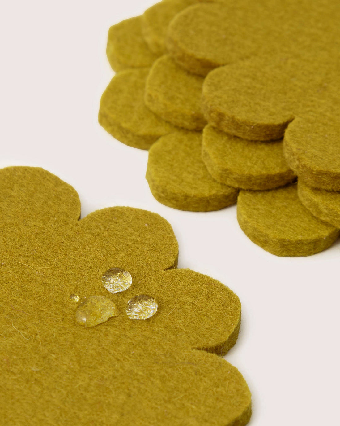 Crest  Felt Coaster Set - Dandelion