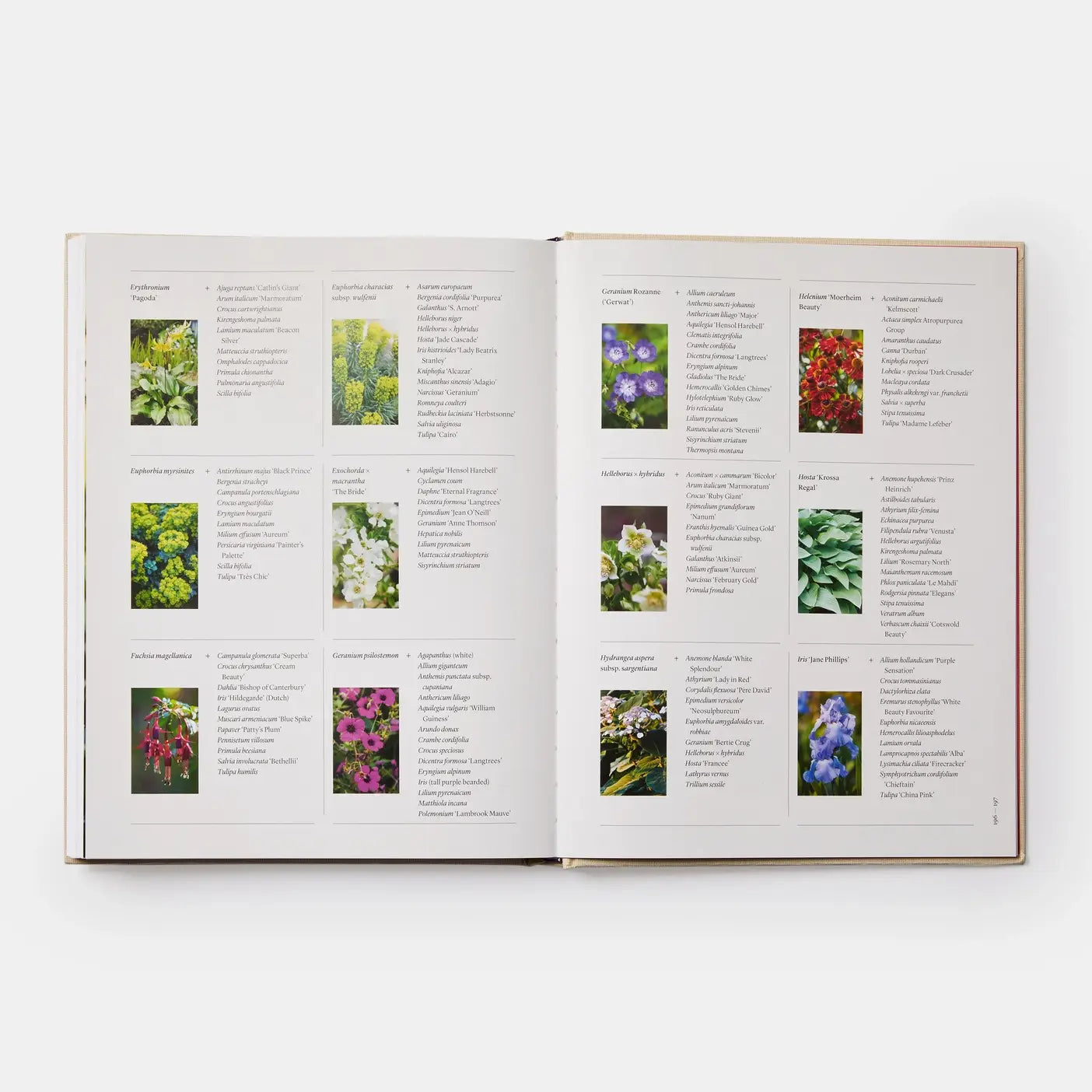 The Seasonal Gardener