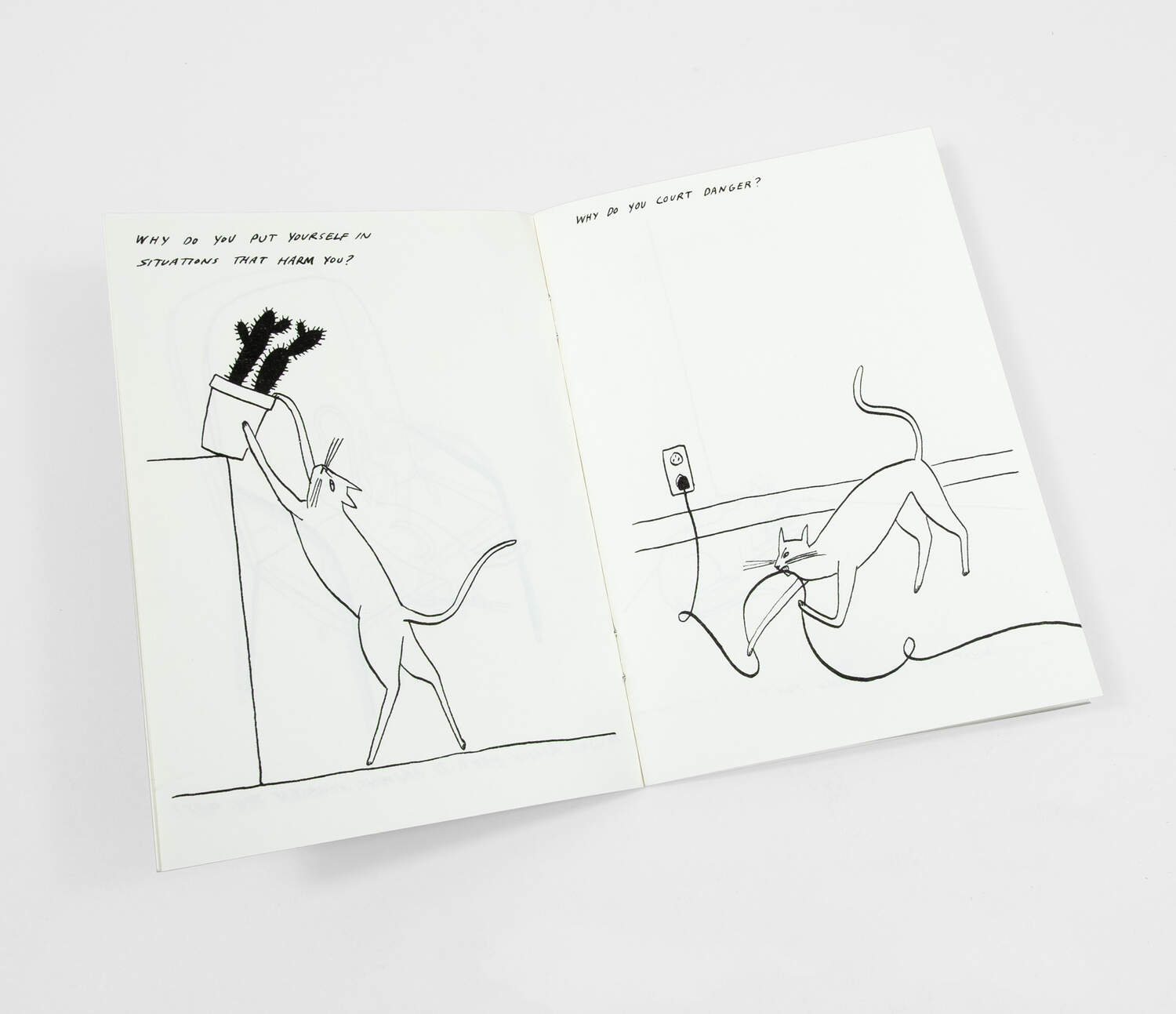 Routine Questions for the Cat