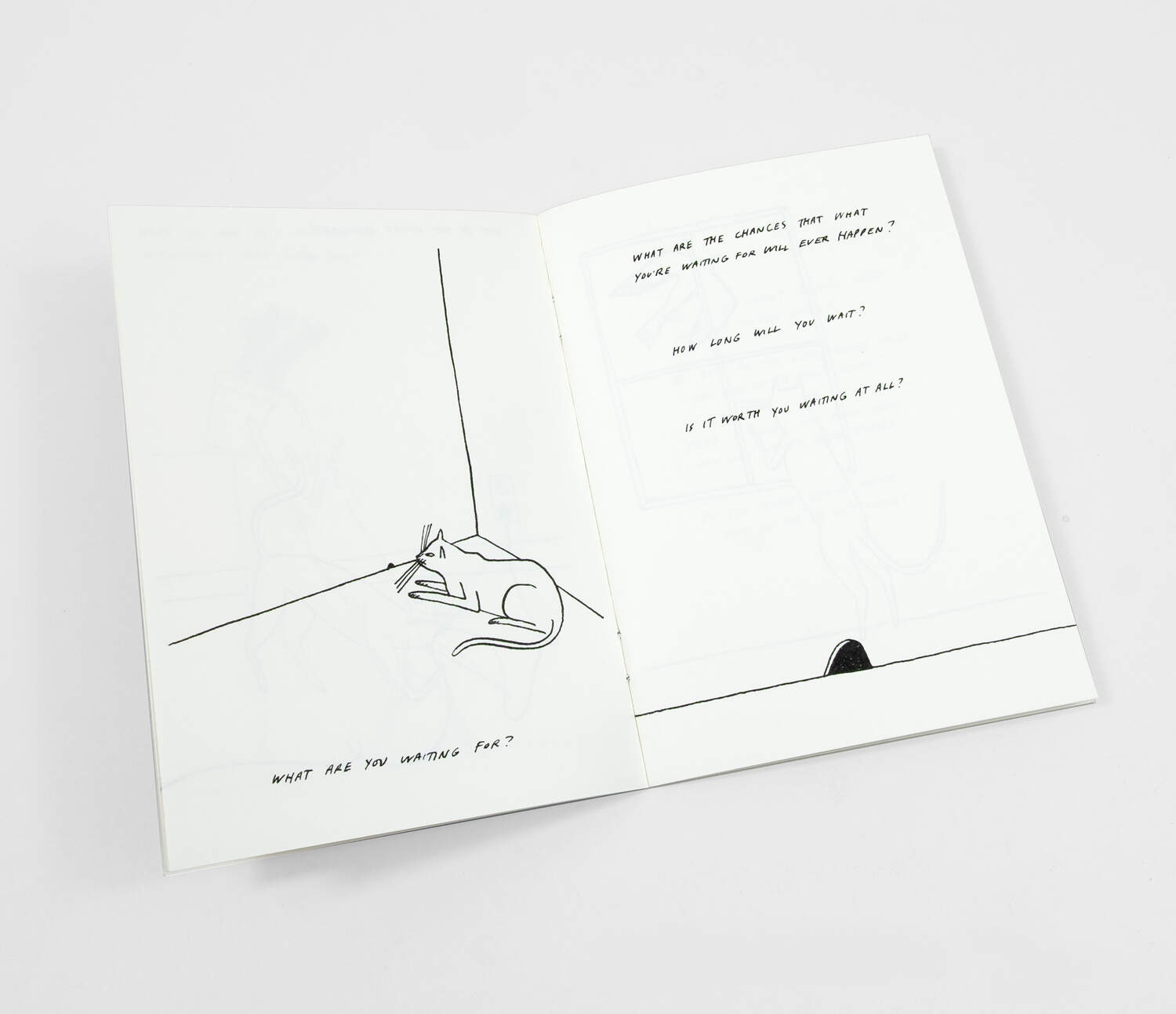 Routine Questions for the Cat